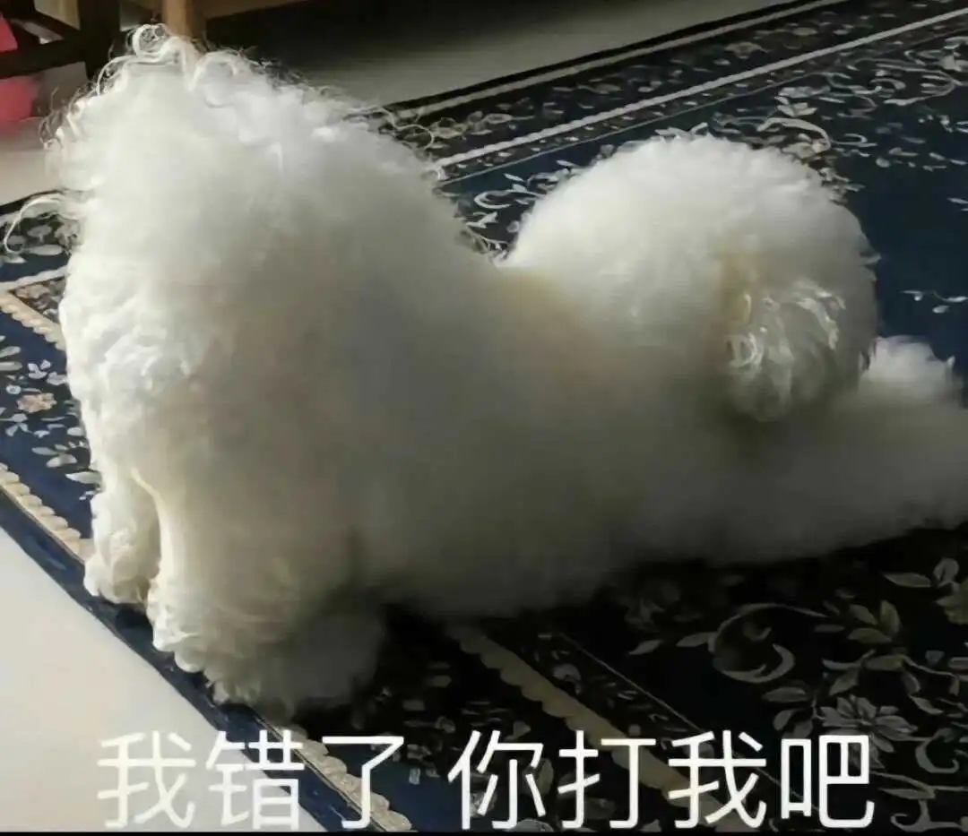 brat属性：实用指南