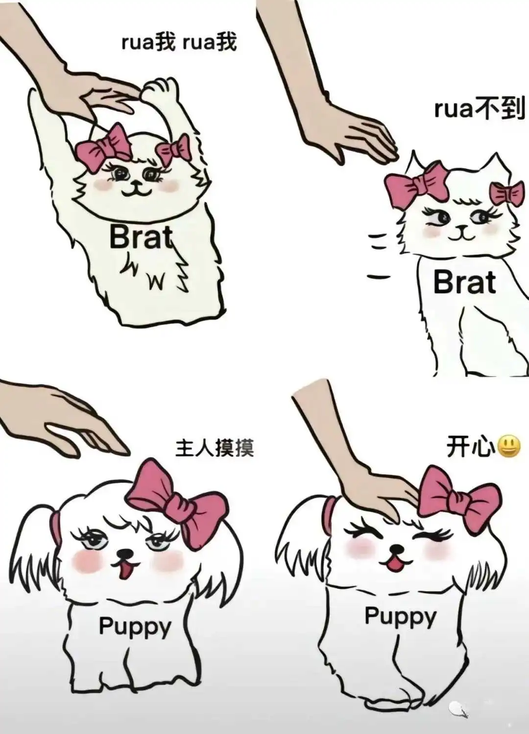 【西檬之家】字母圈TK是什么意思？BDSM新人指南入门必读