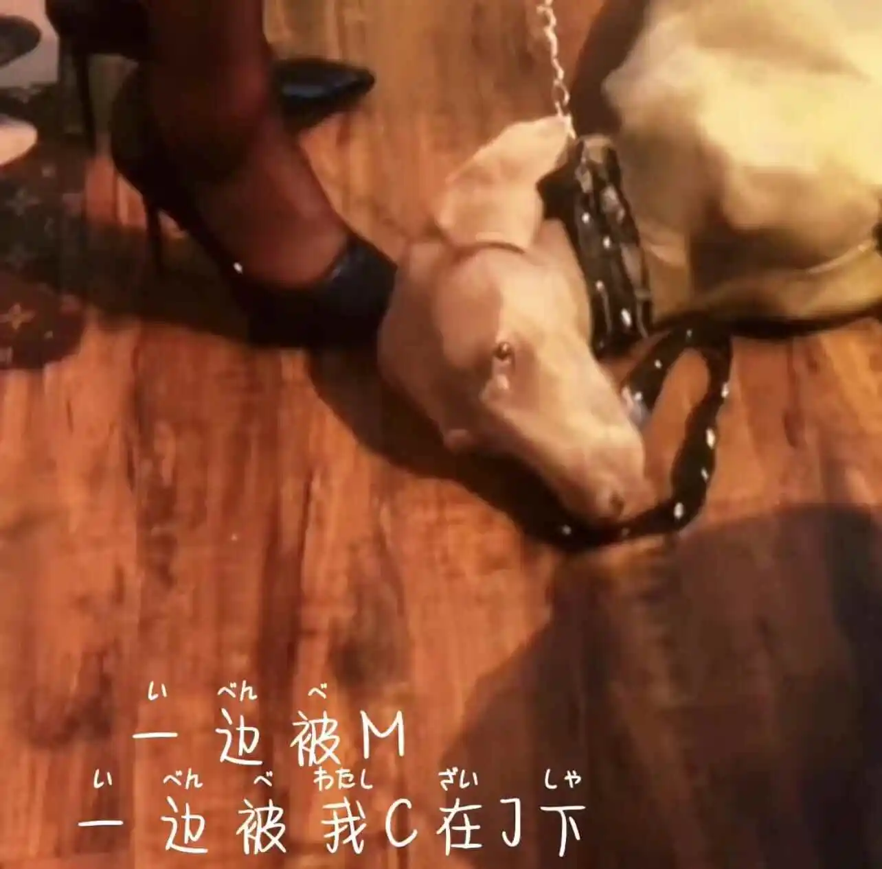 【西檬之家】字母圈女王解读：支配与信任的平衡艺术