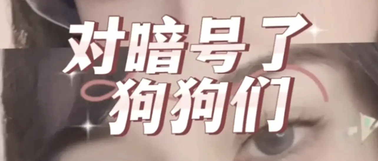西檬之家-K9犬系是什么？