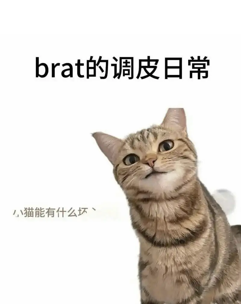 西檬之家-字母圈的Aftercare实践指南