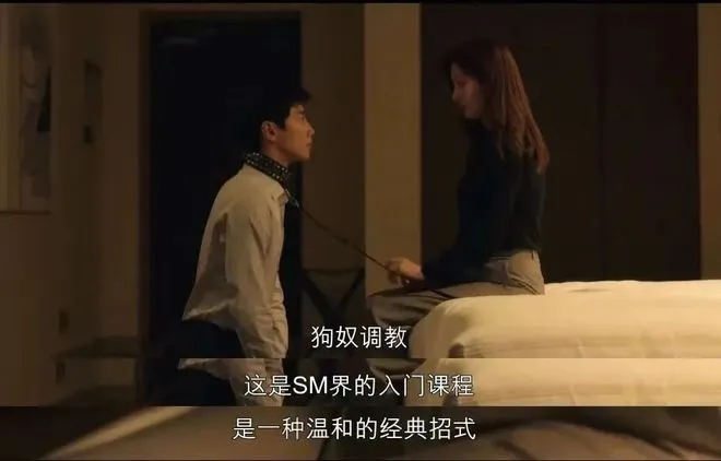 西檬之家-新人必读：字母圈S倾向全解析，探索BDSM的基础知识与安全实践