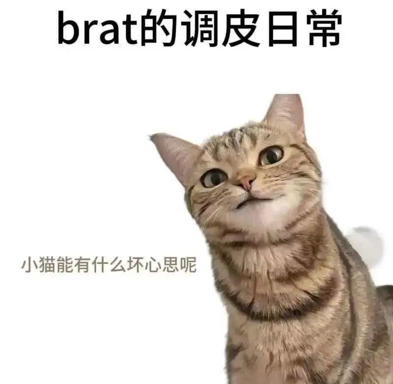 西檬之家-BDSM核心概念解析：s属性与新人入门指南